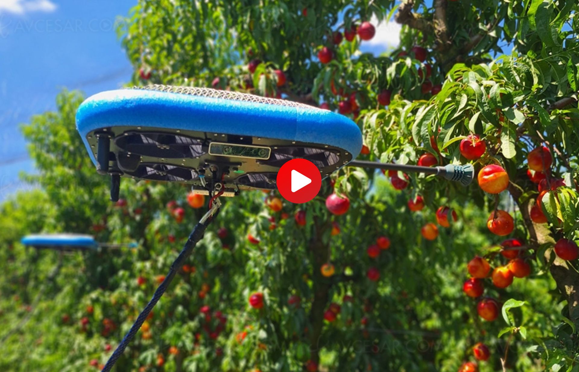 Tự động hóa nông nghiệp - Công nghệ máy bay không người lái tiên tiến - 4TechViews